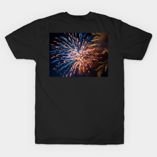 fireworks T-Shirt